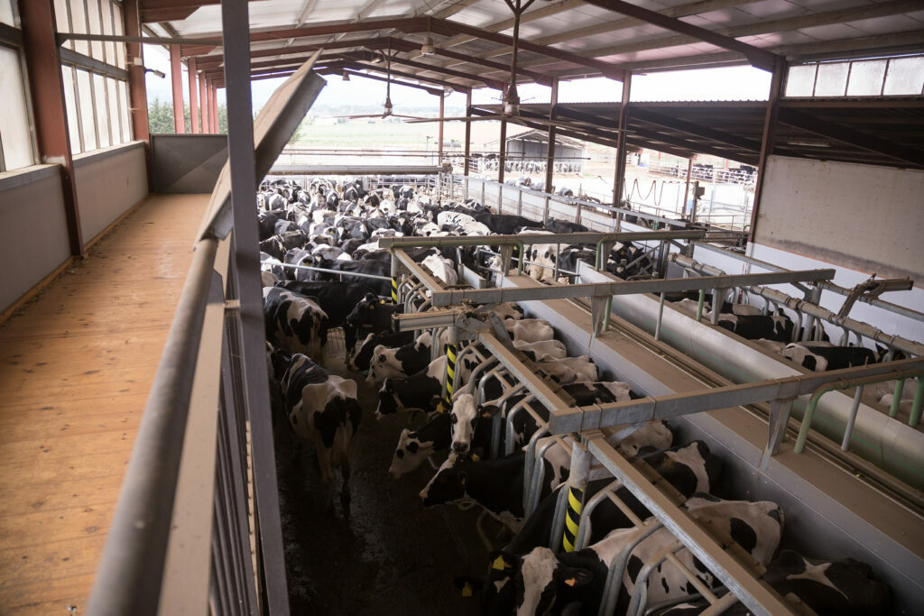 Custom Metal Barn & Farm Buildings - Agricultural Steel Buildings